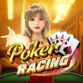 556 bet vip
