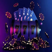 556 bet vip